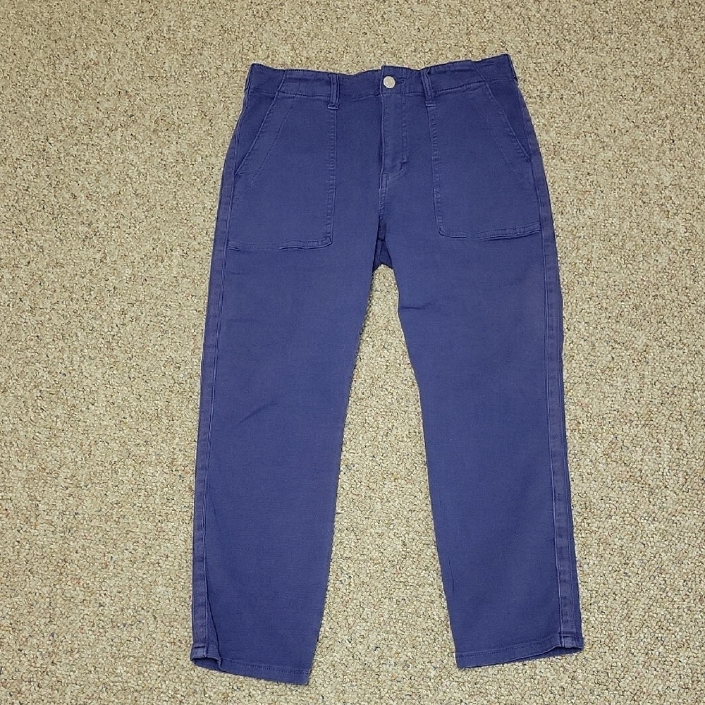 Pistola Blue Cropped Pamela Ankle Length Pants, Womens Sz 28 blue summer